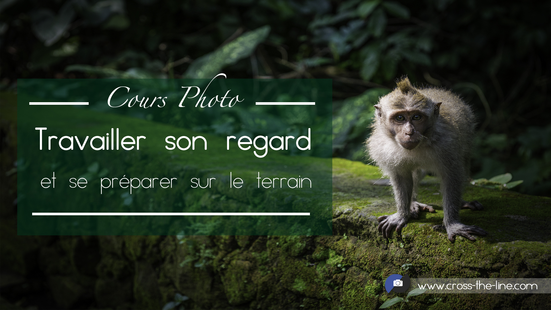 Cours Photo - Module 2