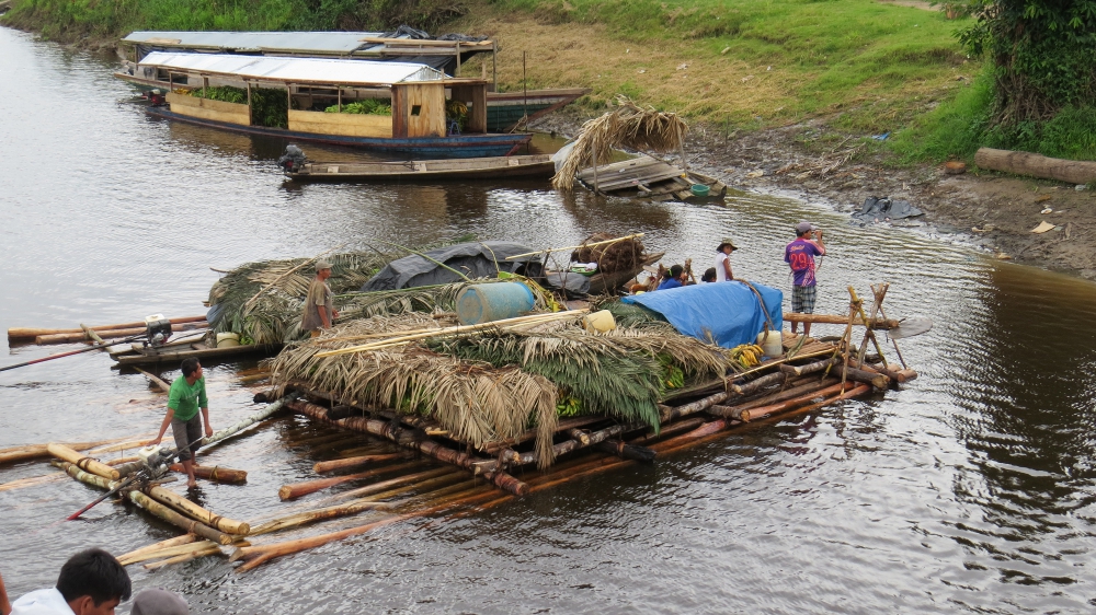 Amazonie3