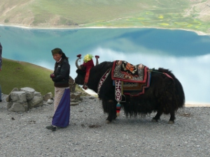 Chine Tibet 294