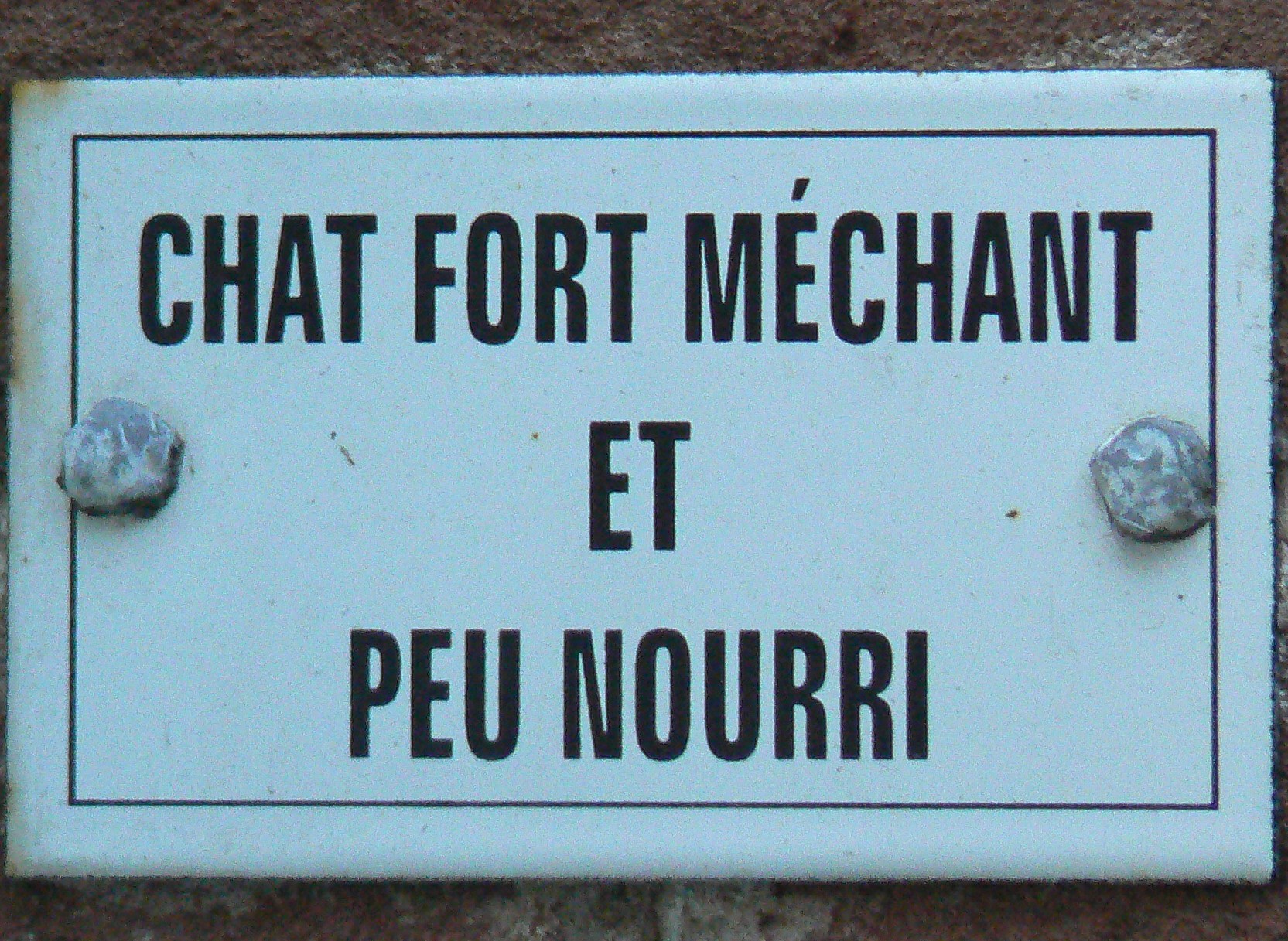 Plaque chat méchant rognée