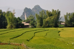 Cliquez pour agrandir Vietnam