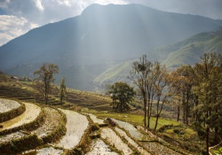 Cliquez pour agrandir Vietnam