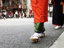 Cliquez pour agrandir Voyage au Japon