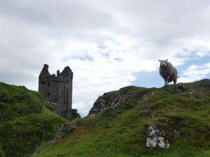 Visioconférence Ecosse