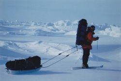 Cliquez pour agrandir Les régions arctiques
