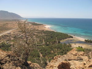 Visioconférence Île de Socotra (Yémen)