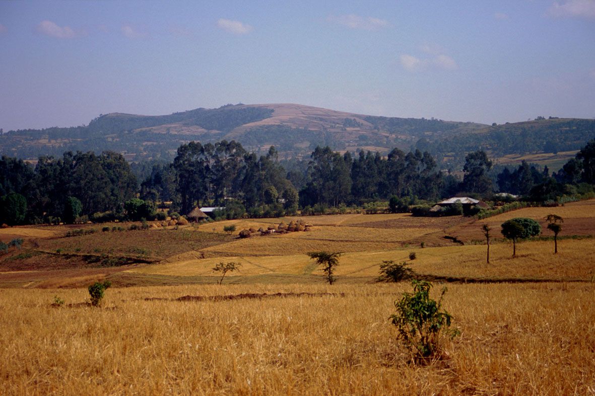 Eth-campagne_ethiopienne_1