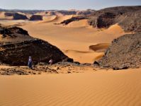 Laugieralgerie