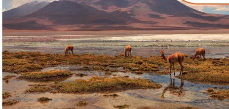 Bolivie1