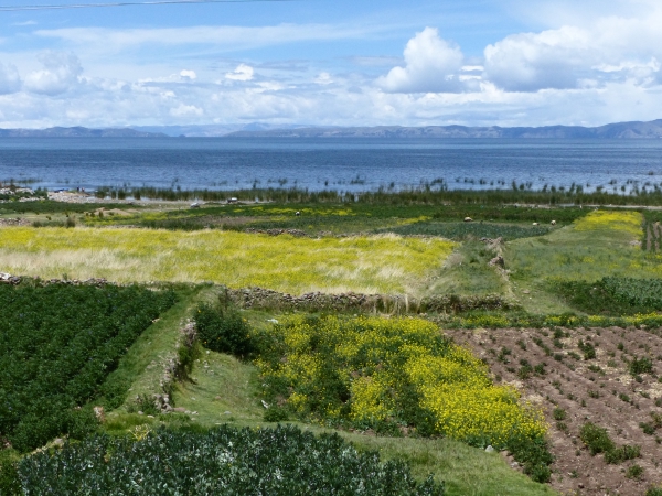 Latitudes Food, un an déjà !