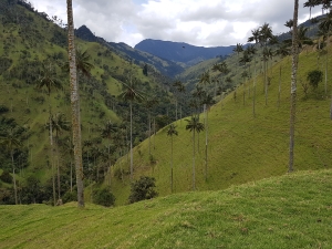 Fiche pratique Colombie 2023