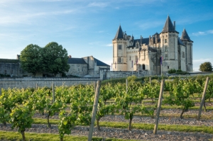 Château Saumur dans la vallée de la Loire, au coucher du soleil, vignobles en face