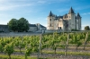 Château Saumur dans la vallée de la Loire, au coucher du soleil, vignobles en face