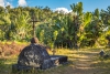 Nos conseils pour visiter Madagascar