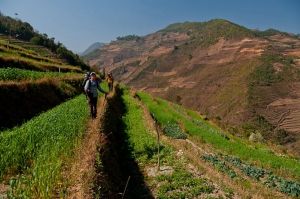 Quelque part au sud de la Chine