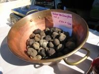 Week-end Truffe et vautours