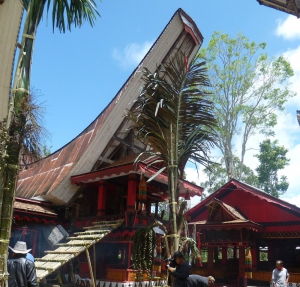 Sulawesi : Célébration funéraire en pays Toraja