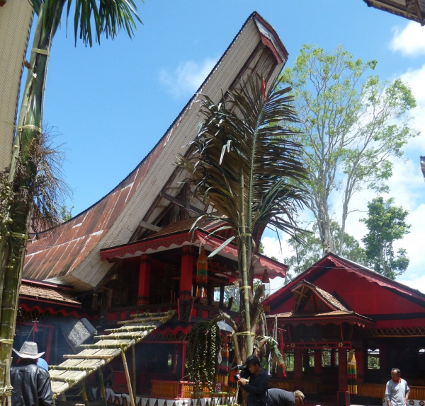 Sulawesi : Célébration funéraire en pays Toraja