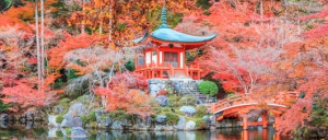 Le Japon, un des pays les plus avancés ?