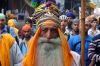 Les lions du Pendjab