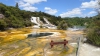 ORAKEI KORAKO