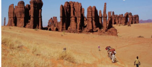 Tchad, une destination de choix