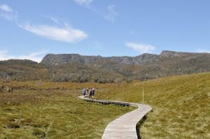 Road trip en Tasmanie