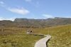 Road trip en Tasmanie