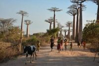 Vivre à Madagascar