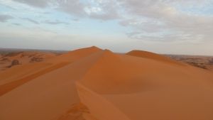 Voyage au Sahara