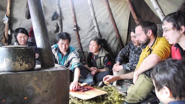 ABM TV Sibérie, les éleveurs du froid