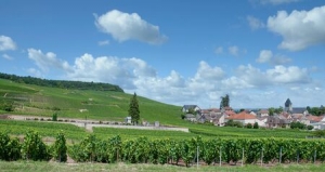 Visiter les domaines dans la région de la Champagne-Ardenne.