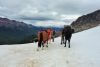 2 000 km à cheval à travers la Patagonie