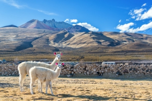 Top destinations dépaysantes pour petit budget