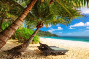 Les Seychelles, mosaïque encore harmonieuse