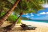Les Seychelles, mosaïque encore harmonieuse