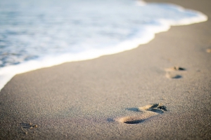 Organiser des vacances de rêve en mer : conseils et astuces !