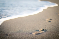 Organiser des vacances de rêve en mer : conseils et astuces !