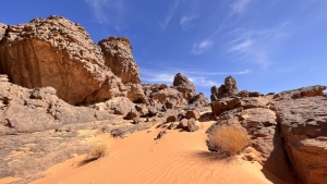 Le Tassili N'Ajjer