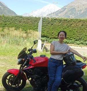 Moto cocotte