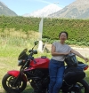 Moto cocotte