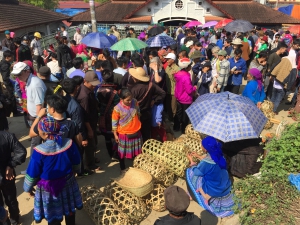 Bac Ha se mérite !
