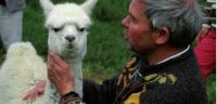 Un prêtre au pays des lamas