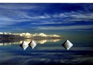 Concours photos ABM Lyon