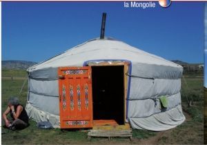 Tête de Yak (Mongolie)