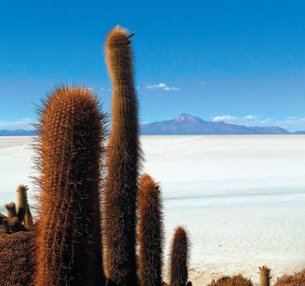 Uyuni le désert de sel