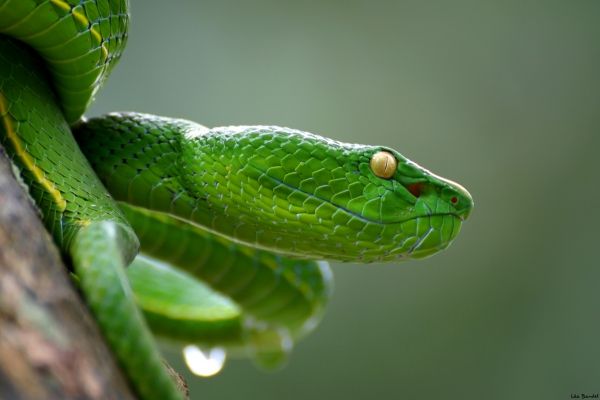 Eprise de vues