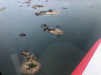 Survol de la baie de Morlaix