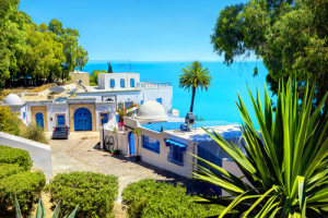 Un programme attractif pour votre séjour en Tunisie.