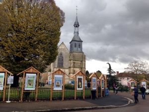 Autour de Montier en Der